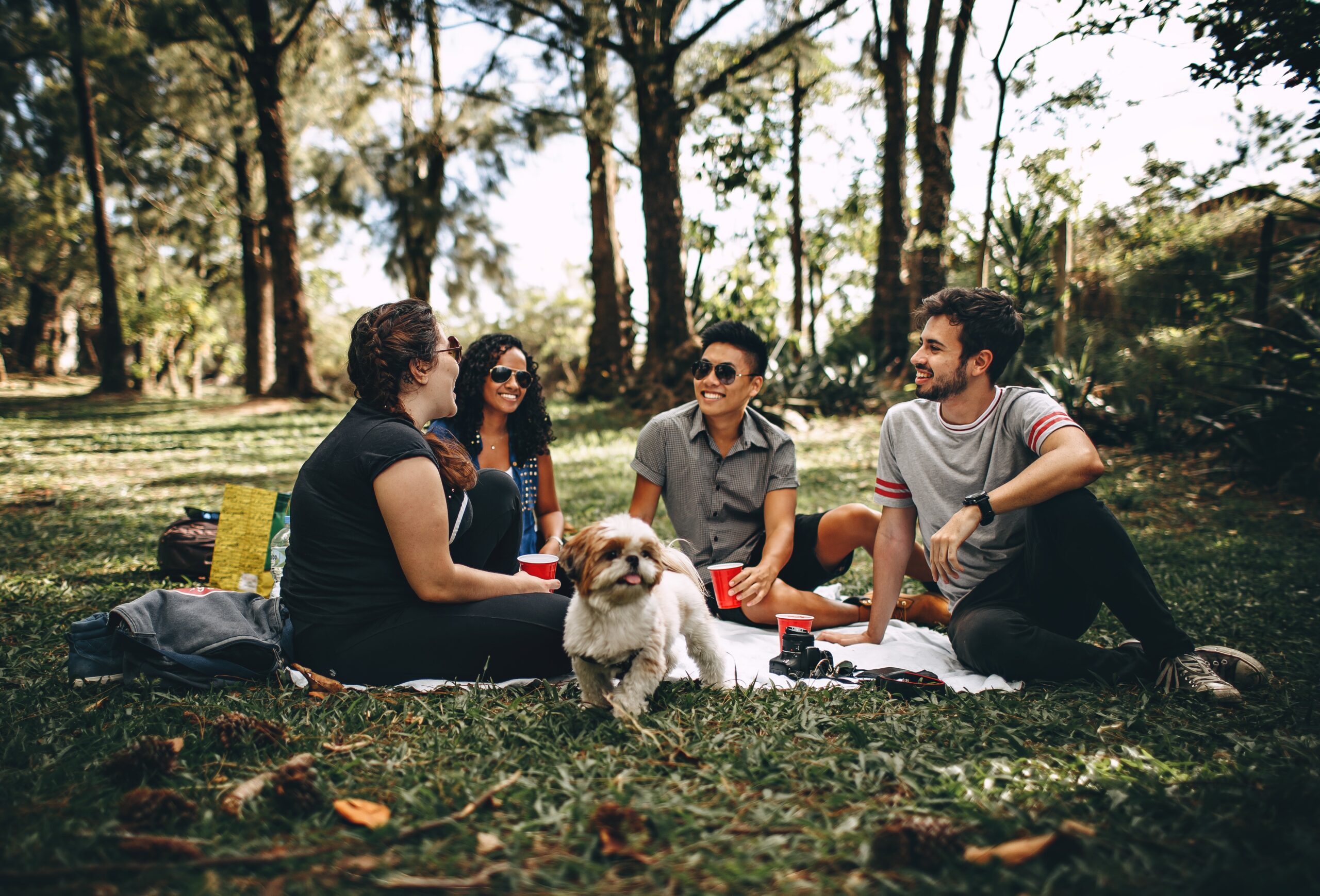 friends on a picnic